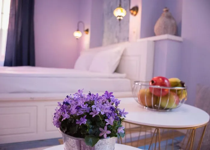 招待所 Saborna 25