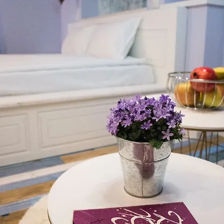 Saborna 25 بلوفديف