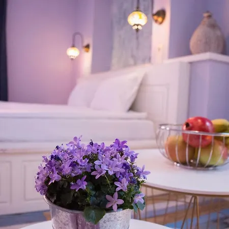 بيت ضيافة Saborna 25